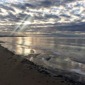 IMG_1386.JPG