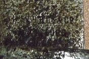 DSCF1289.JPG
