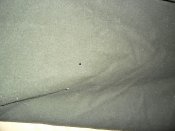 SAM_2406.jpg