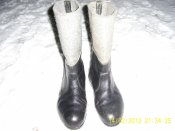 PIC_0642.jpg