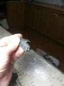 IMG_20171012_224746.jpg