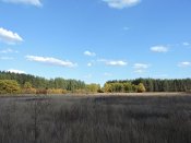 DSCN9488.JPG