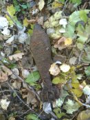 IMG_20171011_142356.jpg