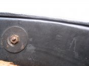 IMG_7745.jpg