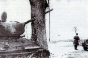 y_f995ef37.jpg