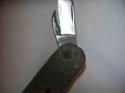 z_7332e983.jpg