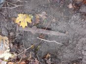 IMG_20171014_092139.jpg