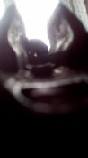 IMG_20171015_121955.jpg