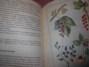DSCN6436.JPG