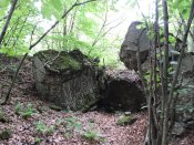 DSCN6037.JPG