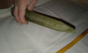 20171015_192542.jpg