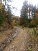 20171015_085132[1].jpg