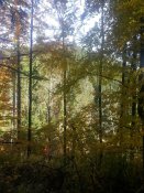 20171014_114014[1].jpg