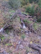 20171015_085126[1].jpg