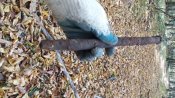 20171016_122826.jpg