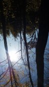 20171016_114616.jpg