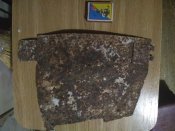IMG_20171017_065556.jpg