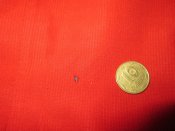 IMG_5761.jpg