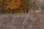 DSC_0511.jpg