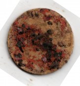 5_1926_a.jpg