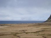 DSC08959.jpg