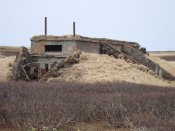 DSC09057.jpg