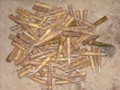 DSCN4508.jpg