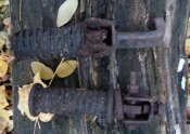 IMG_20171020_165549.jpg