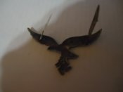 DSC07356.JPG