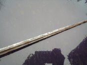 IMG_20171022_095334.jpg