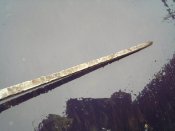 IMG_20171022_095337.jpg