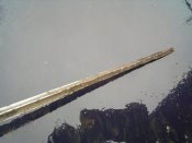 IMG_20171022_095340.jpg