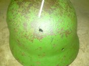 DSC00662.JPG