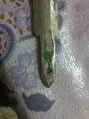 18022012749.jpg
