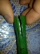 18022012763.jpg