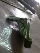 18022012746.jpg