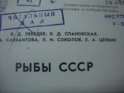 DSC03961.JPG