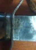 IMG_20171023_072534.jpg
