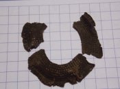 Кокарда РИА