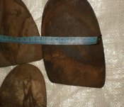 P1010032_thumb.jpg