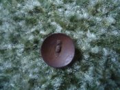 DSC09354.JPG