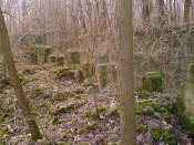 DSCF3531.JPG