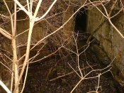 DSCF3535.JPG