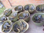 Лот из 10 касок СШ 40