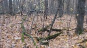 IMG_0886.JPG