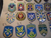 Виолити + 145.JPG