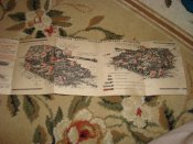 DSC08547.JPG