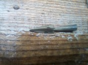IMG_20171028_121227.jpg