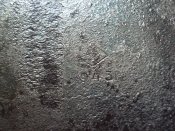 DSC00858-min.JPG