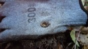 IMG_20171029_160500.jpg